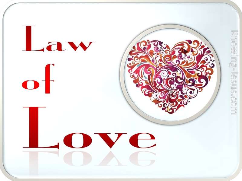 The Law of Love (devotional)05-05 (red)